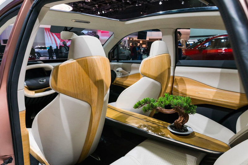 Illustration for article titled Here's What The Only Chinese Cars At The Detroit Auto Show Are Actually Like